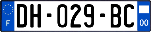 DH-029-BC