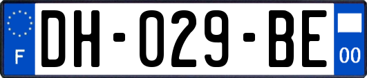 DH-029-BE