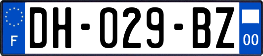 DH-029-BZ