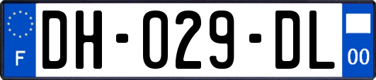 DH-029-DL