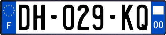 DH-029-KQ