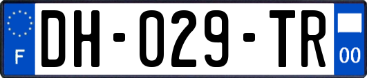 DH-029-TR