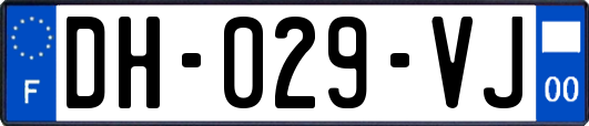 DH-029-VJ