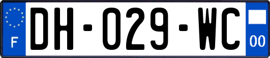 DH-029-WC