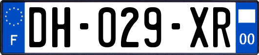 DH-029-XR