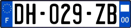 DH-029-ZB