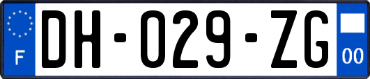 DH-029-ZG