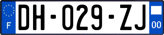 DH-029-ZJ