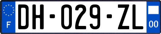 DH-029-ZL