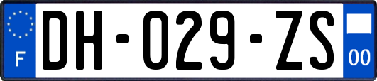 DH-029-ZS