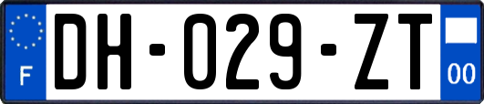 DH-029-ZT