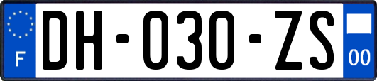 DH-030-ZS