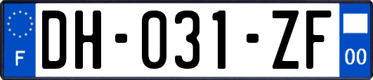 DH-031-ZF