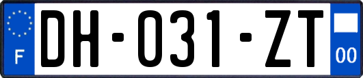 DH-031-ZT