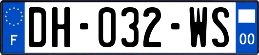 DH-032-WS