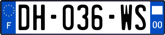 DH-036-WS