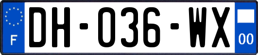 DH-036-WX