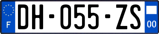 DH-055-ZS