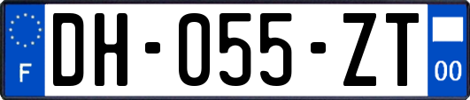 DH-055-ZT