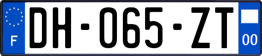 DH-065-ZT