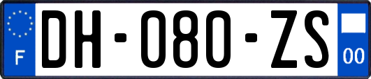 DH-080-ZS