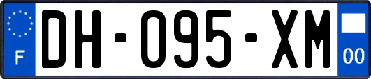 DH-095-XM