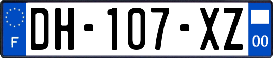 DH-107-XZ