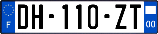 DH-110-ZT