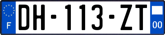 DH-113-ZT