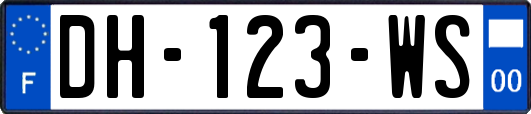 DH-123-WS