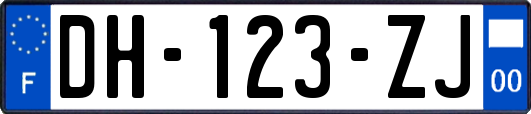 DH-123-ZJ