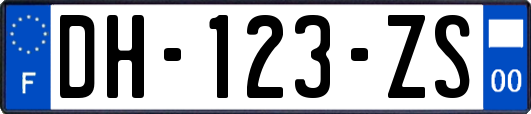 DH-123-ZS