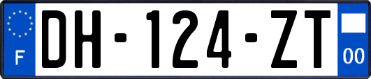 DH-124-ZT