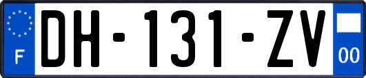 DH-131-ZV