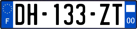 DH-133-ZT