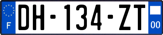 DH-134-ZT