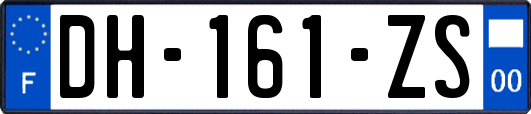 DH-161-ZS