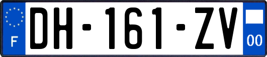 DH-161-ZV