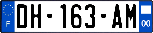 DH-163-AM