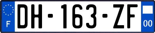 DH-163-ZF