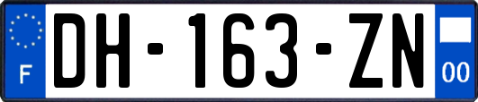 DH-163-ZN