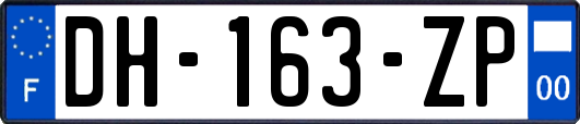 DH-163-ZP