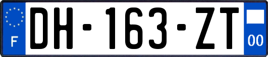 DH-163-ZT