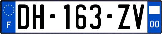 DH-163-ZV