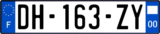 DH-163-ZY