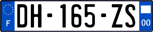 DH-165-ZS