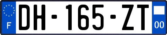 DH-165-ZT