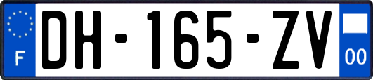 DH-165-ZV