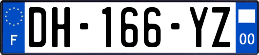 DH-166-YZ