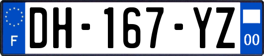 DH-167-YZ